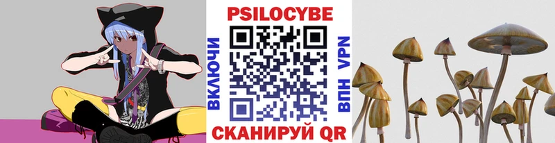 Псилоцибиновые грибы MAGIC MUSHROOMS  darknet как зайти  Рыльск 
