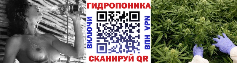Конопля ГИДРОПОН  закладки  Рыльск 